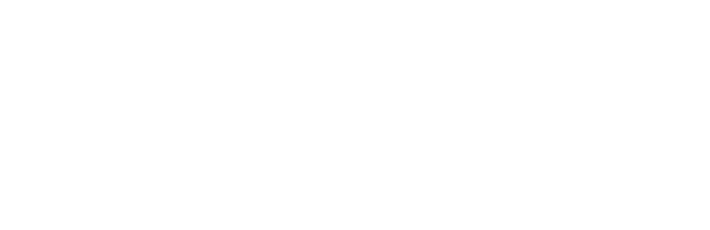 WOLFOX Technological Solutions