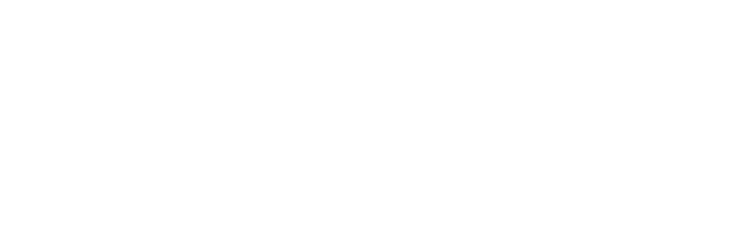 WOLFOX — Technological Solutions